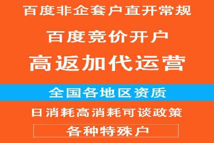 百度品牌广告的创意与执行案例